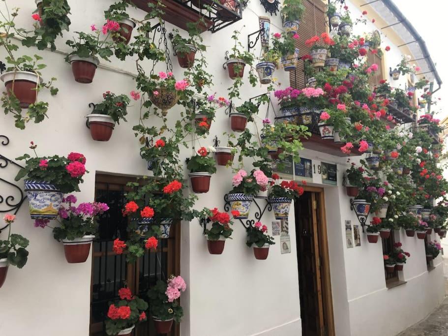 Apartamento Zoco Κόρδοβα Εξωτερικό φωτογραφία